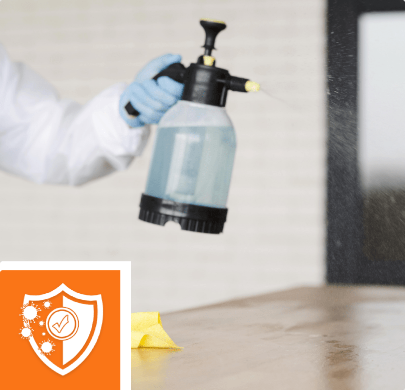 Spezialdesinfektion Brilon - Sprühflasche