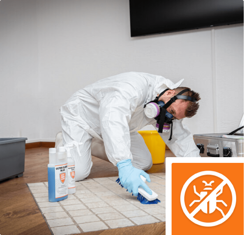 Tatortreinigung Brilon