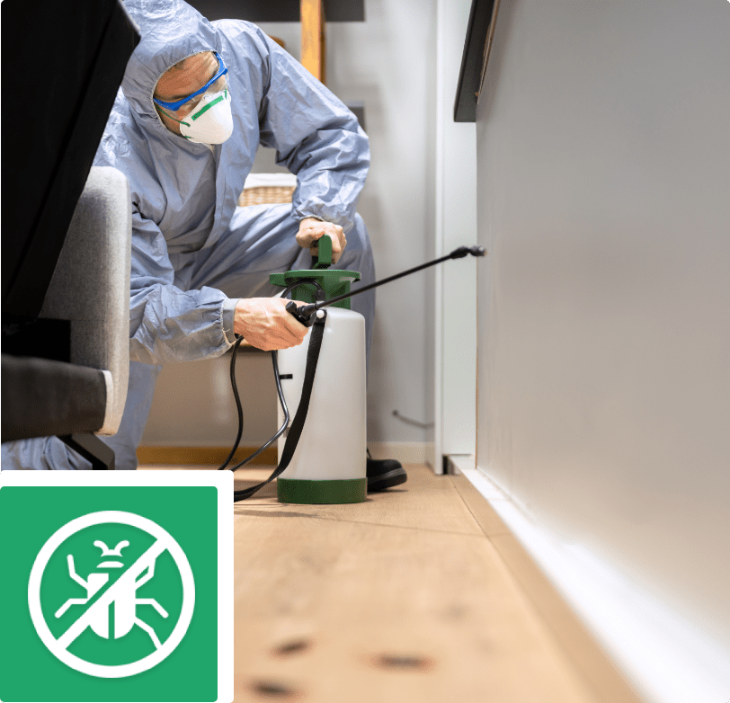 Schädlingsbekämpfung Brilon - Leistungen