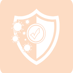 Spezialdesinfektion Brilon - Icon